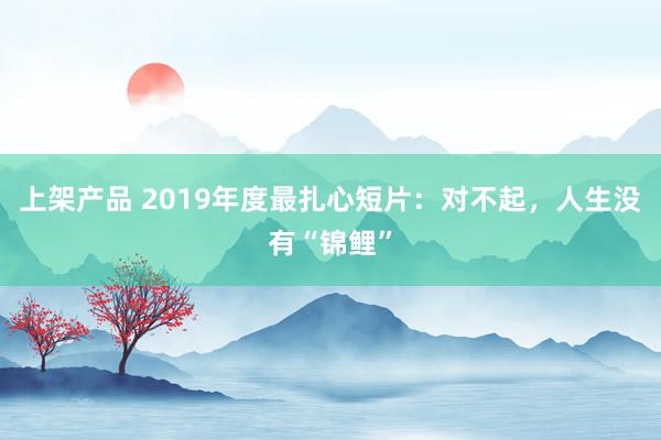 上架产品 2019年度最扎心短片：对不起，人生没有“锦鲤”