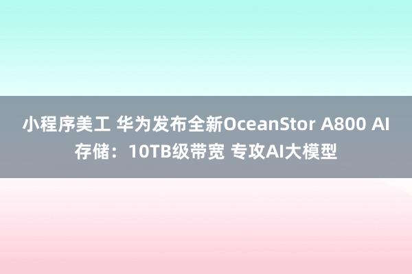 小程序美工 华为发布全新OceanStor A800 AI存储：10TB级带宽 专攻AI大模型