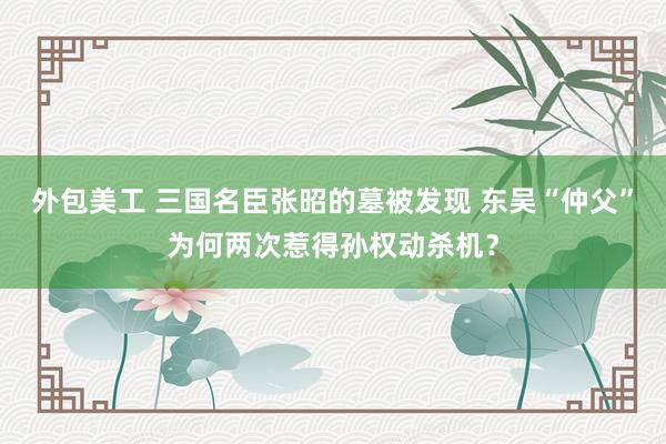 外包美工 三国名臣张昭的墓被发现 东吴“仲父”为何两次惹得孙权动杀机？